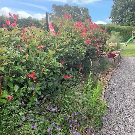 Charming House In Hamois With Shared Pool Villa Eksteriør bilde